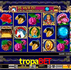 tropabet Rio de Janeiro - Bonus Terms